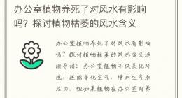 办公室植物养死了对风水有影响吗？探讨植物枯萎的风水含义
