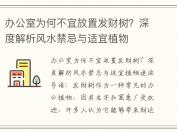 办公室为何不宜放置发财树？深度解析风水禁忌与适宜植物