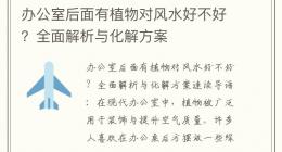 办公室后面有植物对风水好不好？全面解析与化解方案