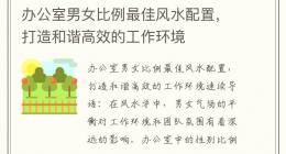 办公室男女比例最佳风水配置，打造和谐高效的工作环境