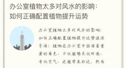 办公室植物太多对风水的影响：如何正确配置植物提升运势
