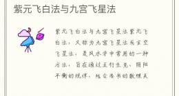 紫元飞白法与九宫飞星法