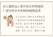 办公室放仙人掌对风水有帮助吗？探讨风水中的绿色植物选项
