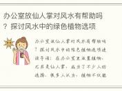 办公室放仙人掌对风水有帮助吗？探讨风水中的绿色植物选项