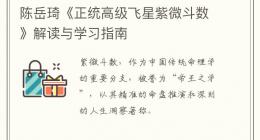 陈岳琦《正统高级飞星紫微斗数》解读与学习指南