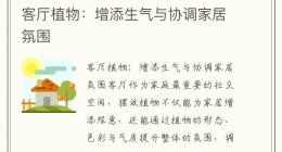 客厅植物：增添生气与协调家居氛围
