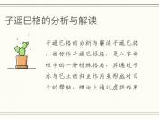 子遥巳格的分析与解读