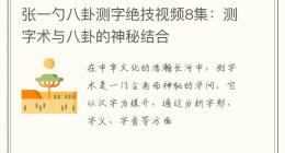 张一勺八卦测字绝技视频8集：测字术与八卦的神秘结合