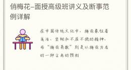 俏梅花-面授高级班讲义及断事范例详解