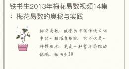 铁书生2013年梅花易数视频14集：梅花易数的奥秘与实践