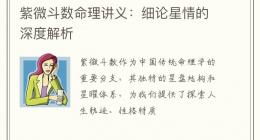 紫微斗数命理讲义：细论星情的深度解析