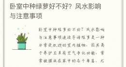 卧室中种绿萝好不好？风水影响与注意事项