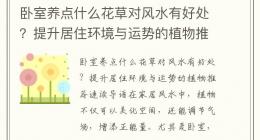 卧室养点什么花草对风水有好处？提升居住环境与运势的植物推荐