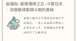翁福裕-紫微演绎之五-斗数功夫：深度解读紫微斗数的奥秘
