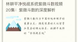 林耕平净悦觇系统紫微斗数视频20集：紫微斗数的深度解析
