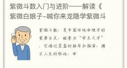 紫微斗数入门与进阶——解读《紫微白娘子-喊你来龙隐学紫微斗数》