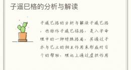 子遥巳格的分析与解读