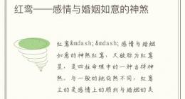 红鸾——感情与婚姻如意的神煞