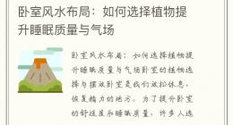卧室风水布局：如何选择植物提升睡眠质量与气场