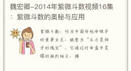 魏宏卿-2014年紫微斗数视频16集：紫微斗数的奥秘与应用