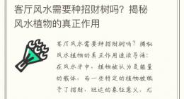 客厅风水需要种招财树吗？揭秘风水植物的真正作用