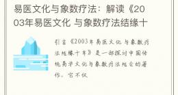 易医文化与象数疗法：解读《2003年易医文化 与象数疗法结缘十年》