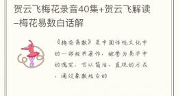 贺云飞梅花录音40集+贺云飞解读-梅花易数白话解