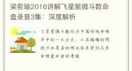 梁若瑜2016讲解飞星紫微斗数命盘录音3集：深度解析