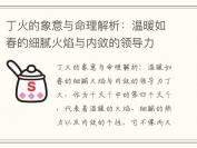 丁火的象意与命理解析：温暖如春的细腻火焰与内敛的领导力