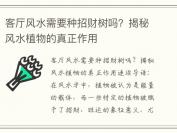客厅风水需要种招财树吗？揭秘风水植物的真正作用