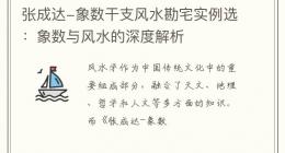 张成达-象数干支风水勘宅实例选：象数与风水的深度解析