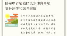卧室中养猫猫的风水注意事项，提升居住和谐与健康