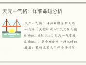 天元一气格：详细命理分析