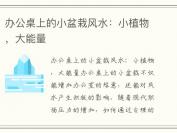 办公桌上的小盆栽风水：小植物，大能量