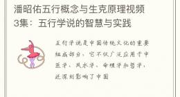 潘昭佑五行概念与生克原理视频3集：五行学说的智慧与实践