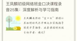 王凤麟初级网络班金口决课程录音25集：深度解析与学习指南