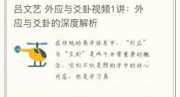 吕文艺 外应与爻卦视频1讲：外应与爻卦的深度解析