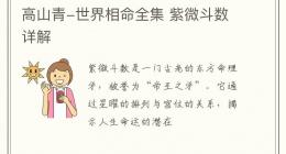 高山青-世界相命全集 紫微斗数详解