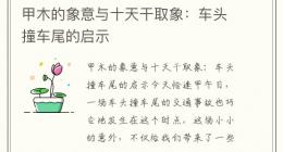甲木的象意与十天干取象：车头撞车尾的启示