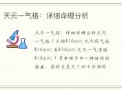 天元一气格：详细命理分析