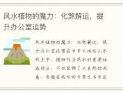 风水植物的魔力：化煞解运，提升办公室运势