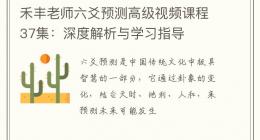 禾丰老师六爻预测高级视频课程37集：深度解析与学习指导