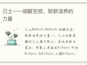 己土——细腻包容，默默滋养的力量