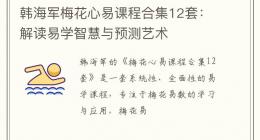 韩海军梅花心易课程合集12套：解读易学智慧与预测艺术