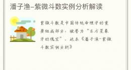 潘子渔-紫微斗数实例分析解读
